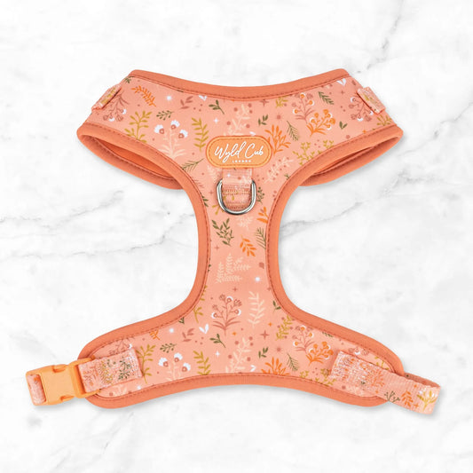 Chiswick Papaya Adjustable Harness