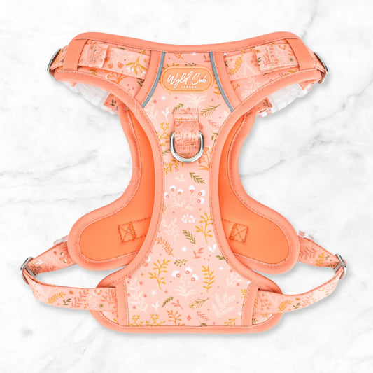 Chiswick Papaya Step and Switch harness