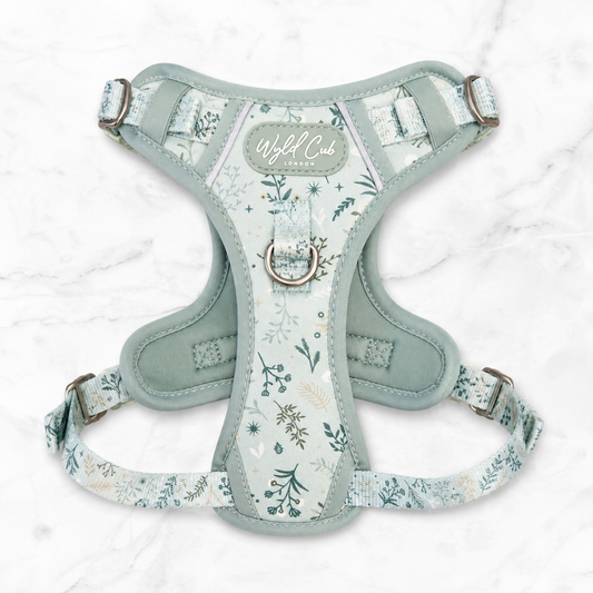 Pistachio Step and Switch harness