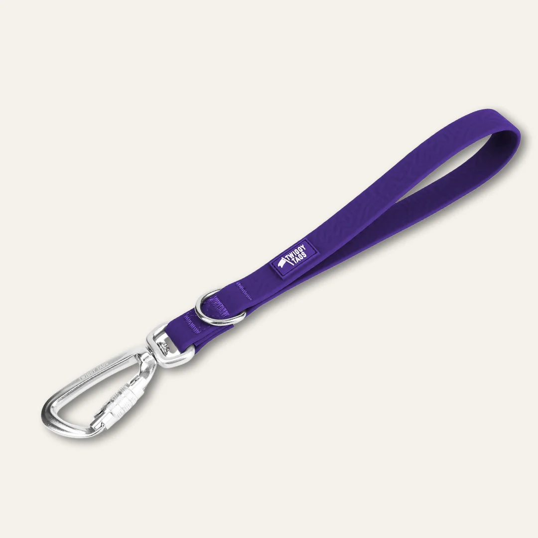 Twiggy Tags Tidal Grab Handle