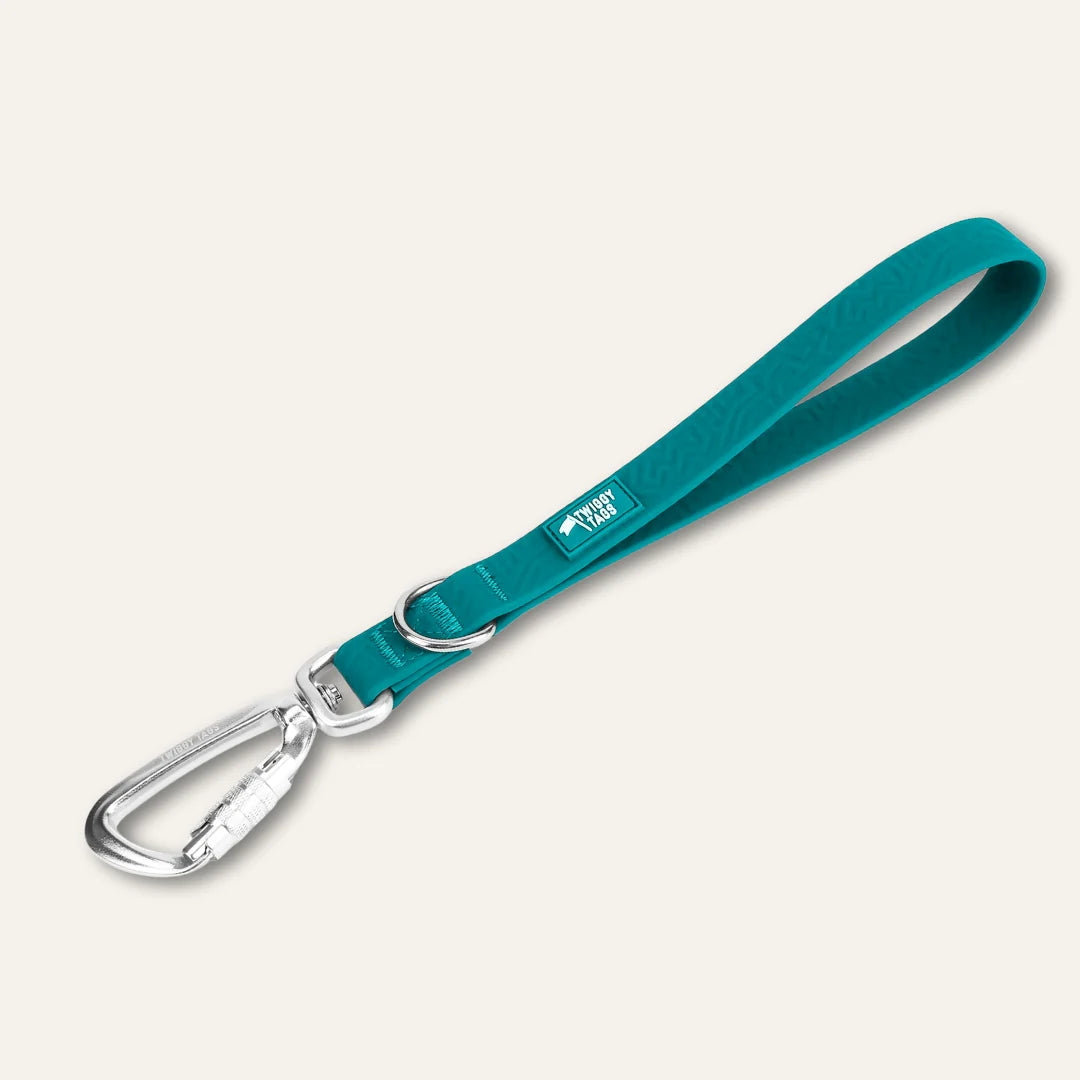 Twiggy Tags Tidal Grab Handle