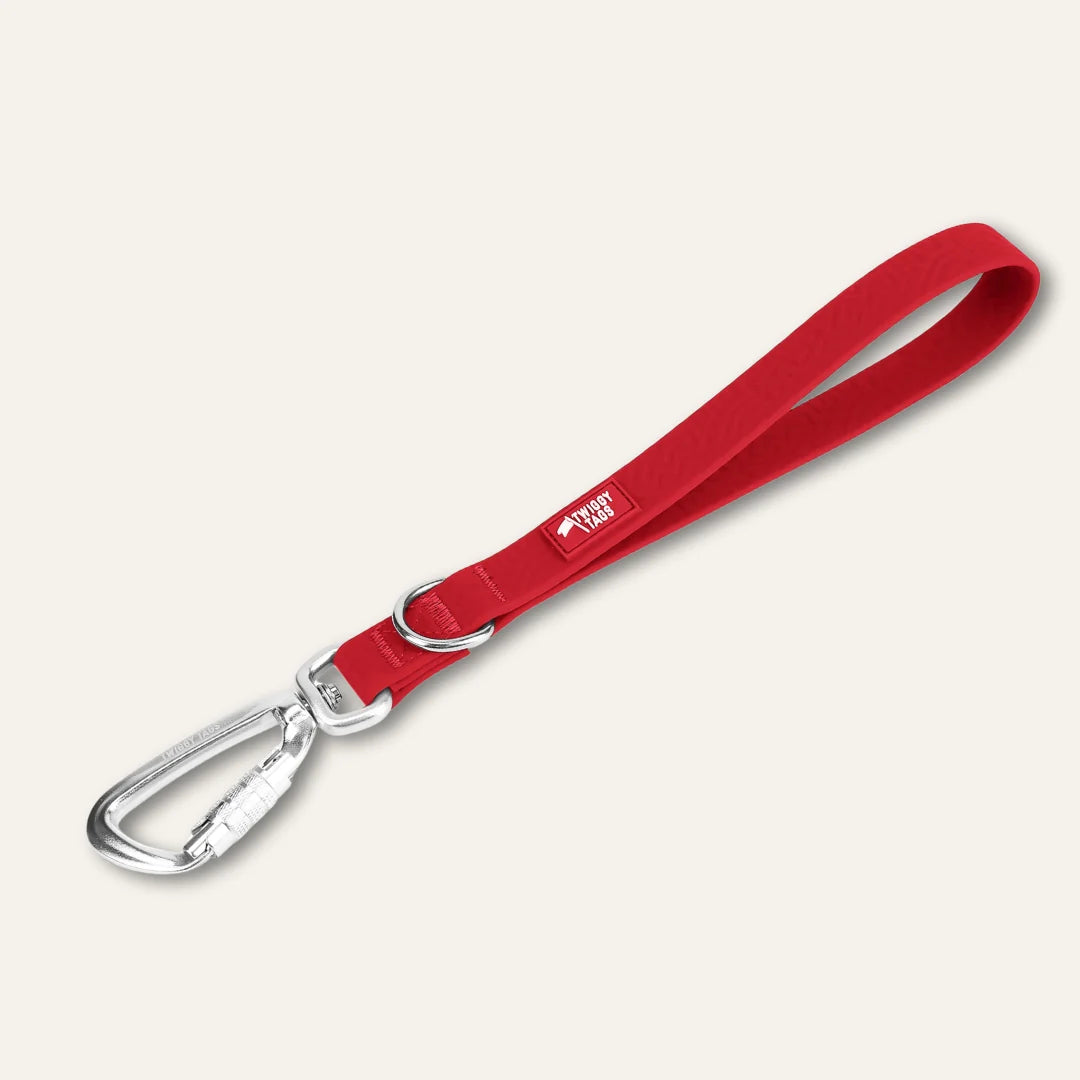 Twiggy Tags Tidal Grab Handle