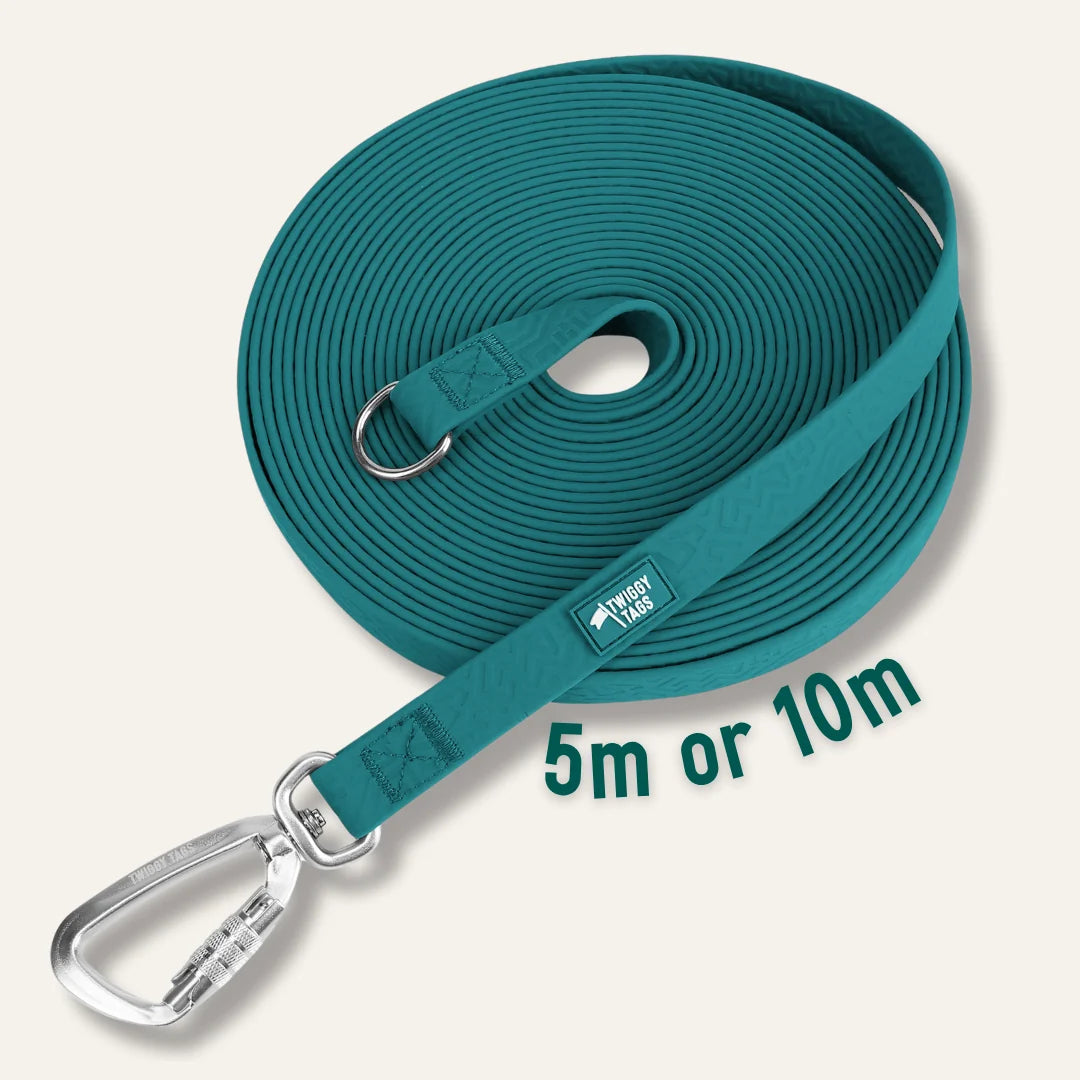 Twiggy Tags Tidal Long Line 5m
