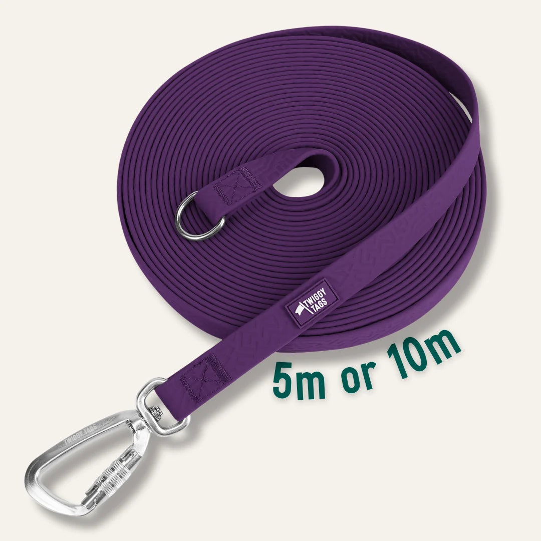 Twiggy Tags Tidal Long Line 5m
