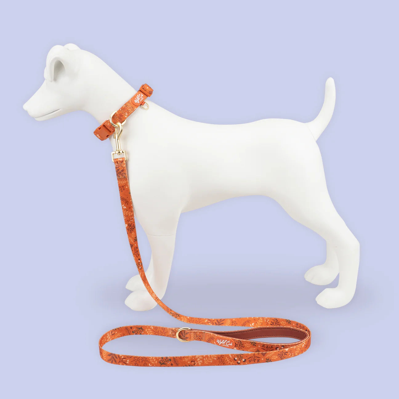 Chiswick Ginger lead