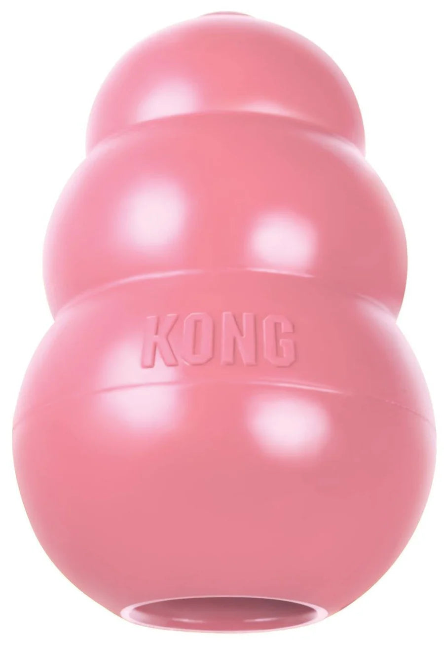 Kong puppy large