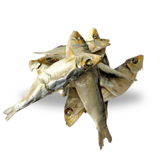 Large Sprats