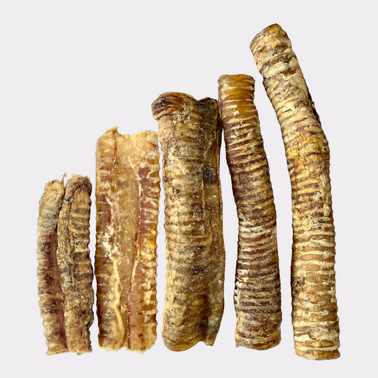 Beef Trachea