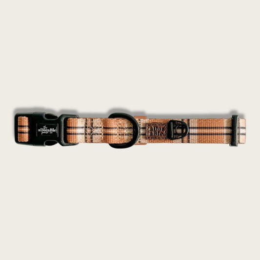 Collar - Butterscotch Biscuit