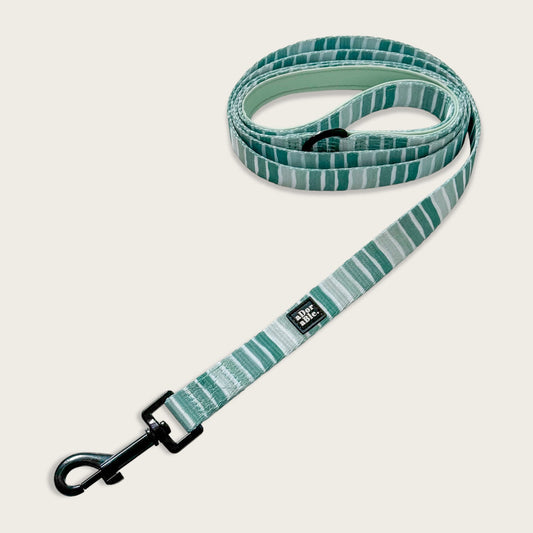 Lead - Hint of Mint