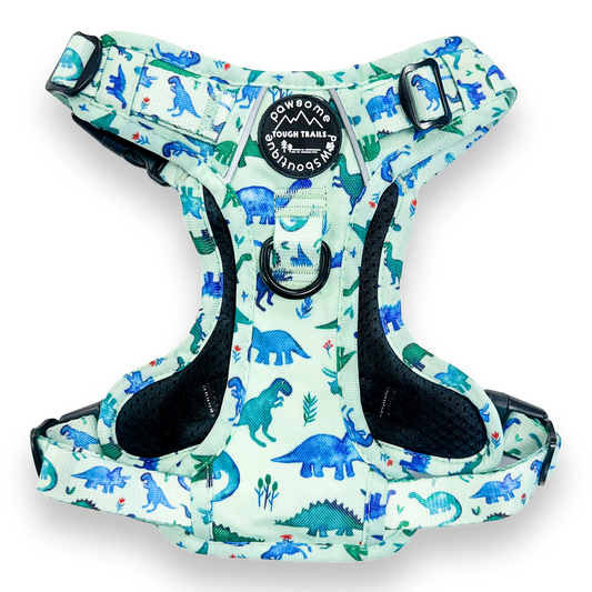 Tough Trails Harness - Dinky Dino