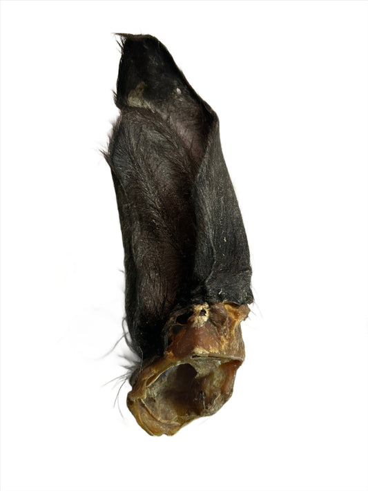 Buffalo Ear